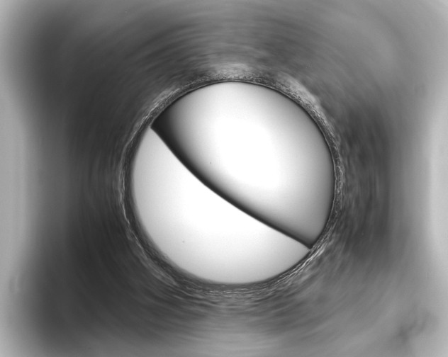 X0000096420106200801241011