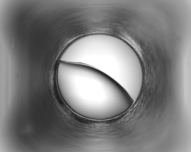 X0000096420107200801241011