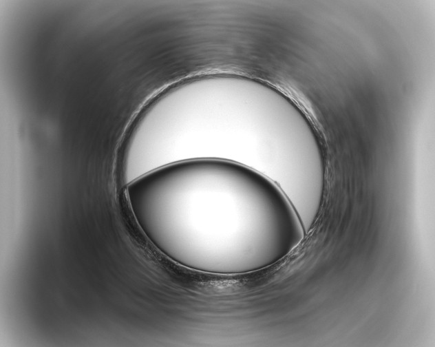 X0000096420108200801241011