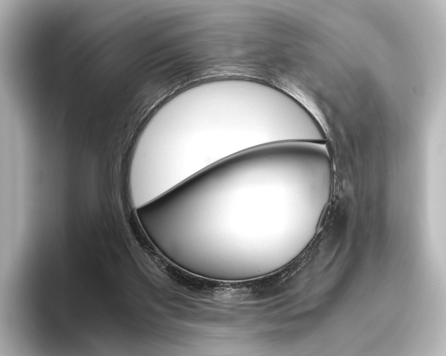 X0000096420109200801241011