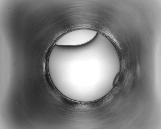 X0000096420110200801241011