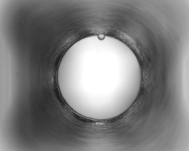X0000096420114200801241011