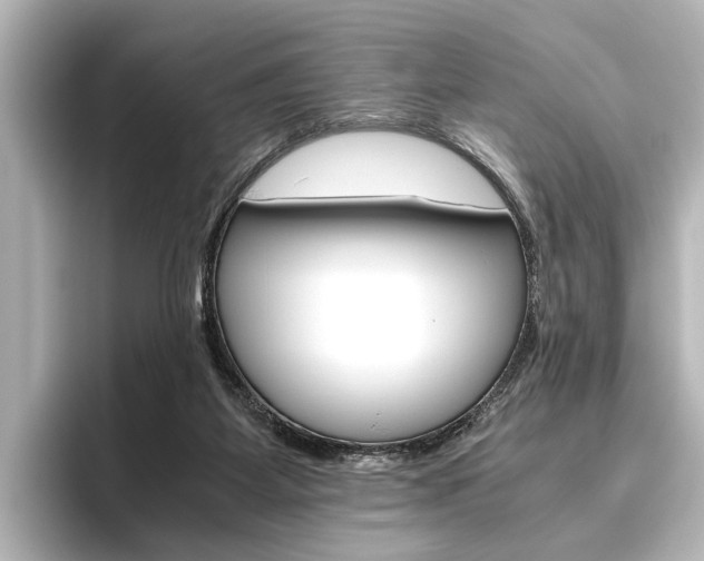 X0000096420115200801241011