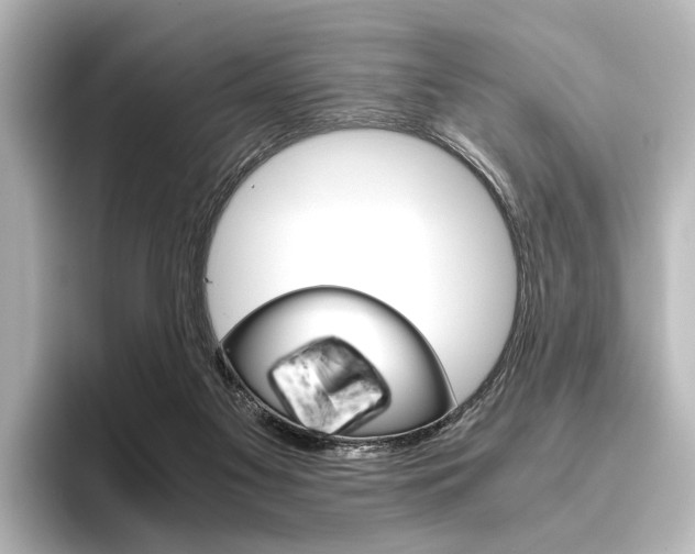 X0000096420117200801241011