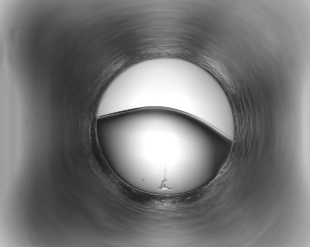 X0000096420120200801241011