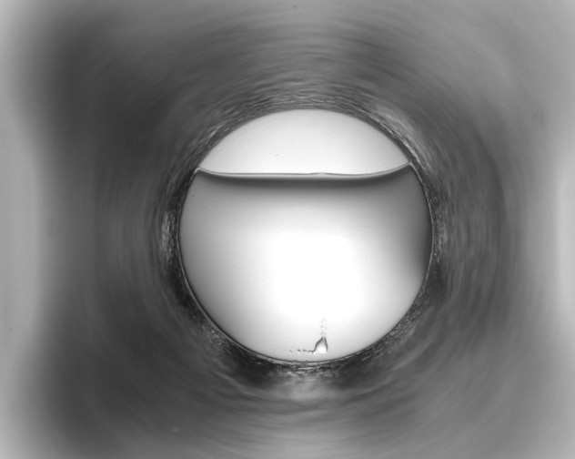 X0000096420121200801241011