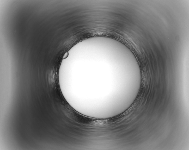 X0000096420126200801241011