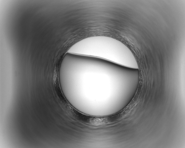 X0000096420129200801241011