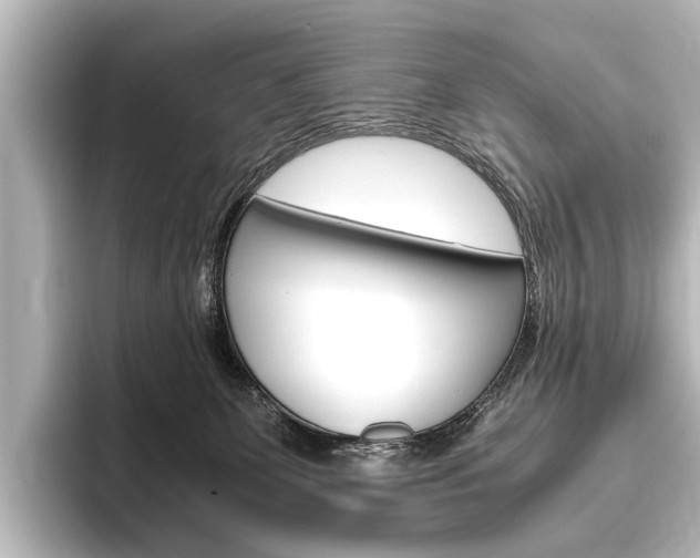 X0000096420131200801241011
