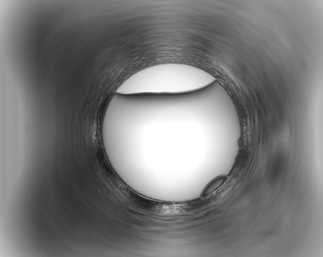 X0000096420134200801241011
