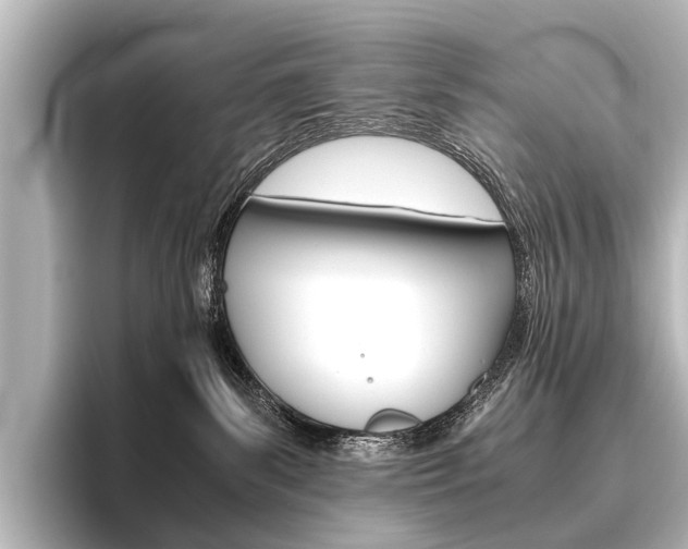 X0000096420139200801241011