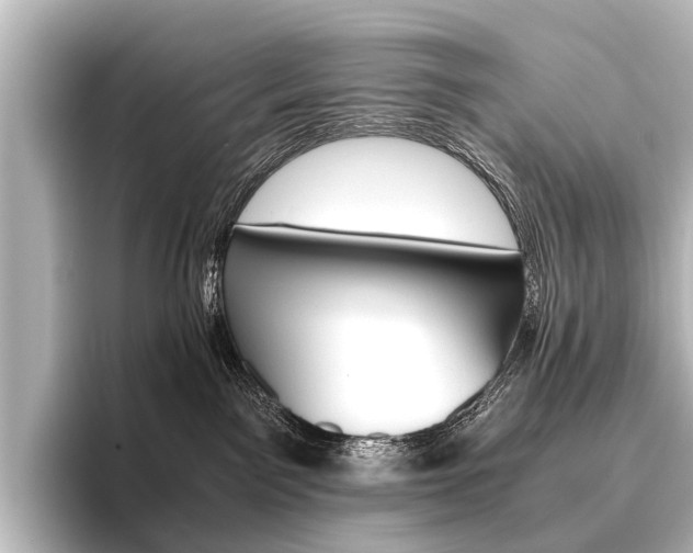 X0000096420141200801241011