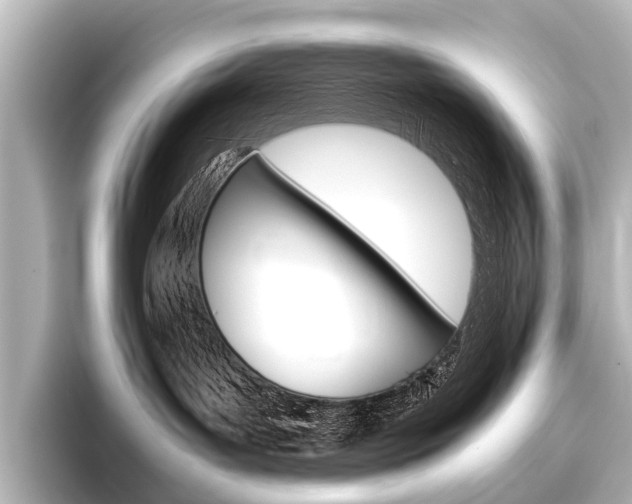 X0000096420143200801241011