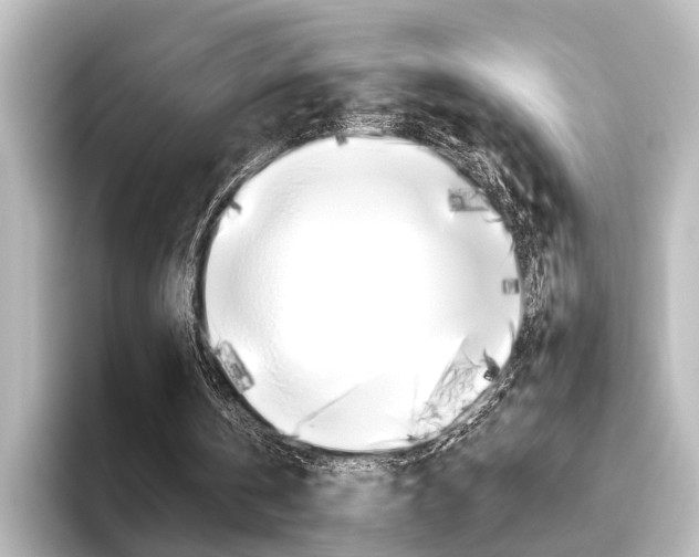 X0000096420146200801241010
