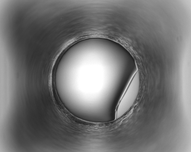 X0000096420148200801241010