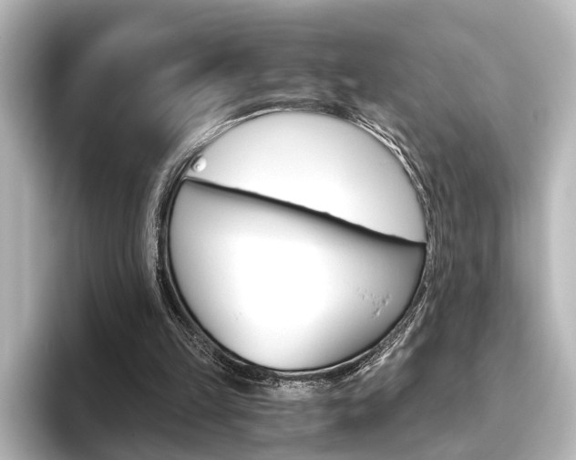 X0000096420149200801241010