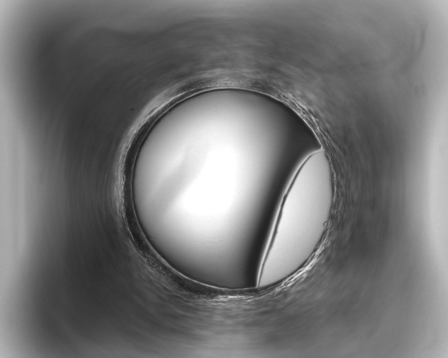X0000096420150200801241010