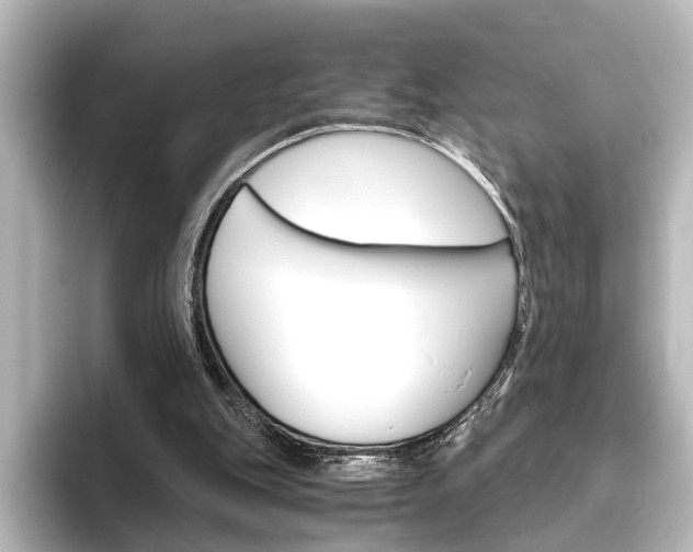 X0000096420151200801241010