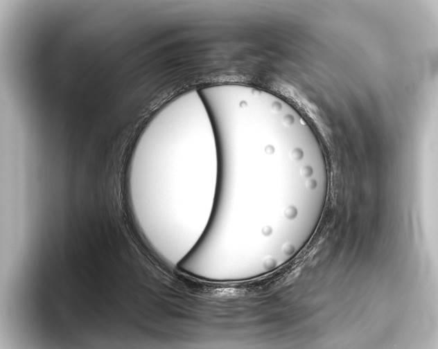 X0000096420153200801241010