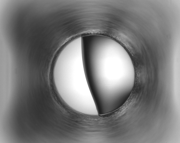 X0000096420160200801241010