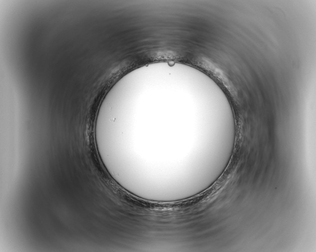 X0000096420161200801241010
