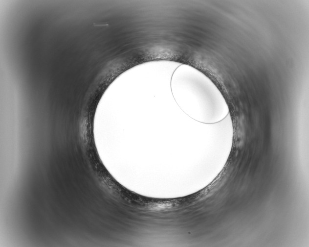 X0000096420162200801241010