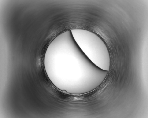 X0000096420165200801241010