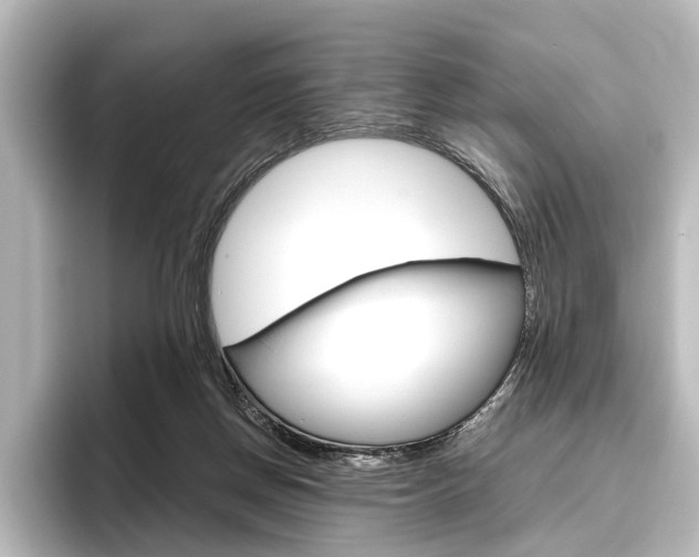 X0000096420166200801241010