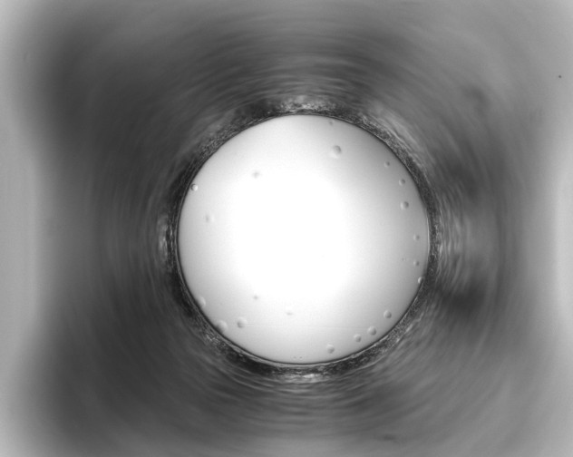 X0000096420169200801241010