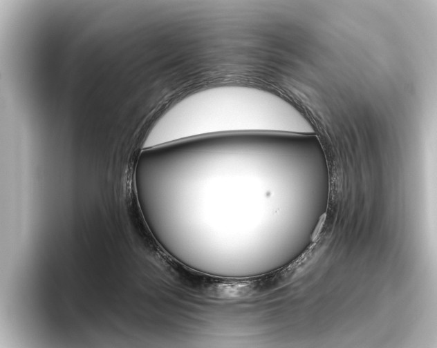 X0000096420172200801241010