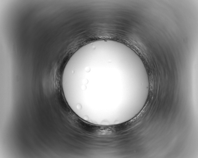 X0000096420175200801241011