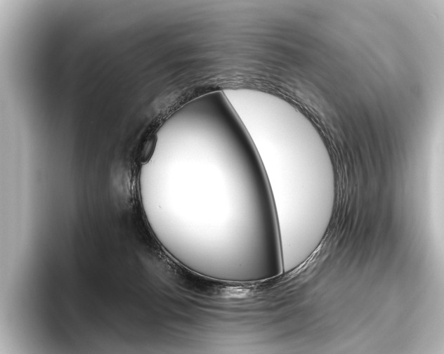 X0000096420176200801241011