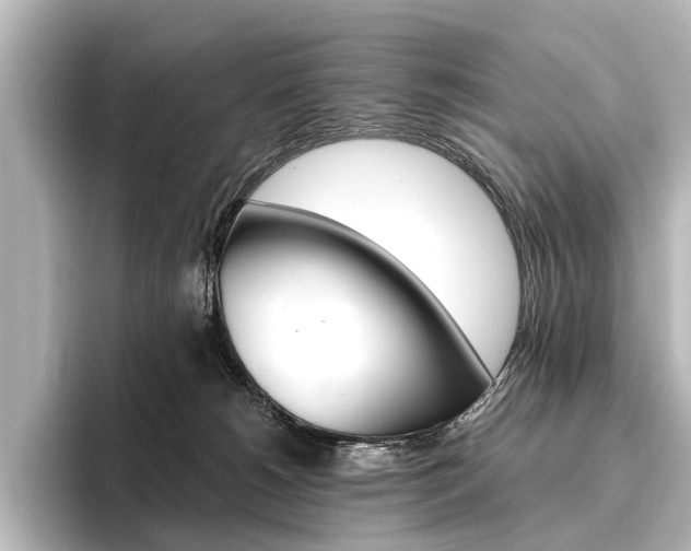 X0000096420180200801241011