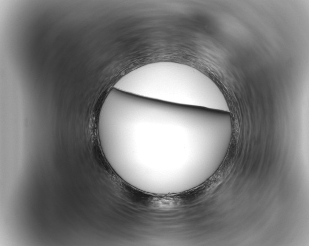 X0000096420181200801241011
