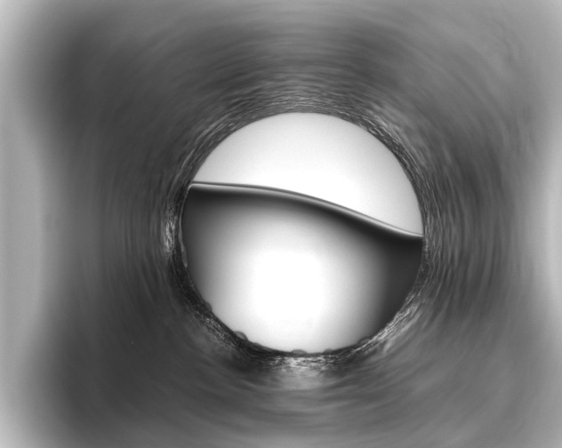 X0000096420188200801241011