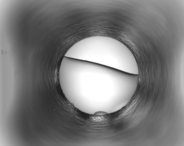 X0000096420189200801241011