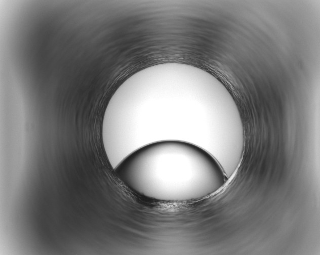 X0000096420190200801241011