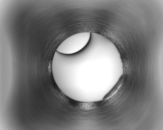 X0000096420191200801241011