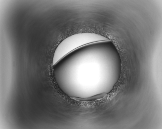 X0000096420192200801241011