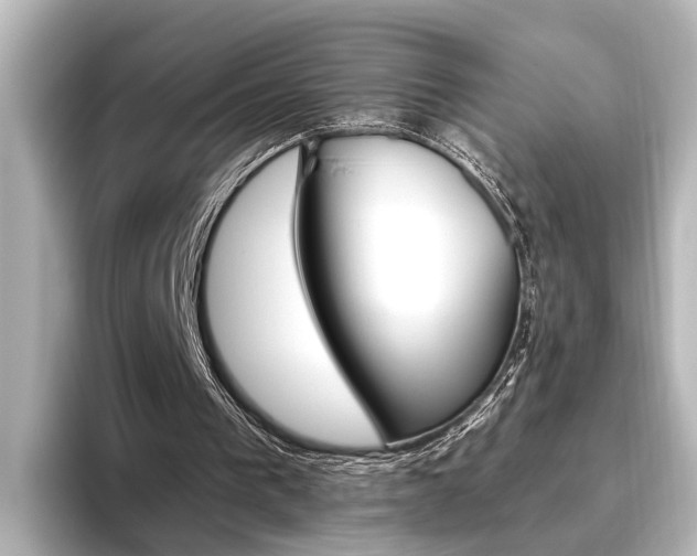 X0000096420193200801241010