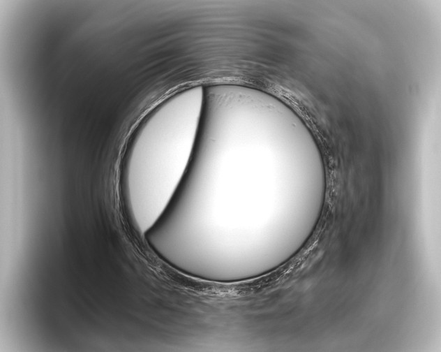 X0000096420194200801241010