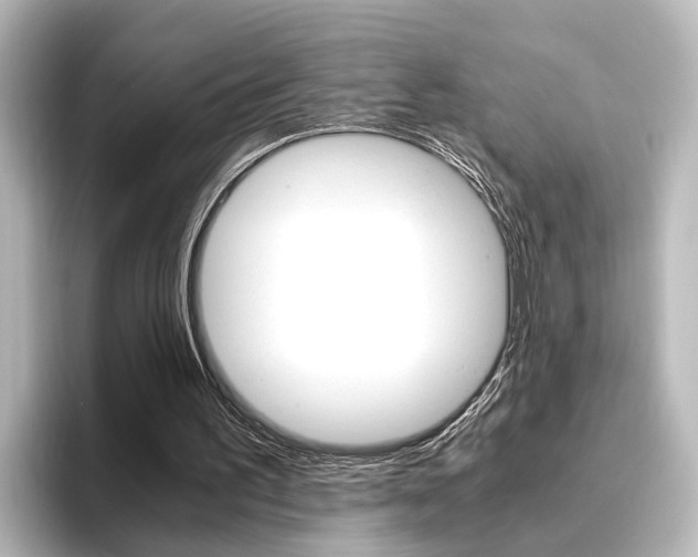 X0000096420195200801241010
