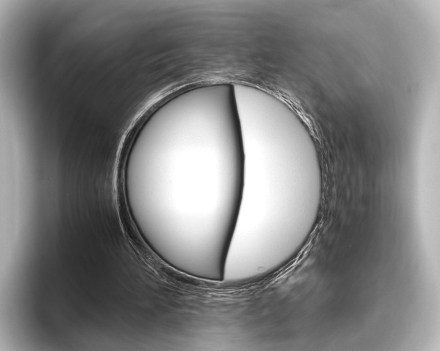 X0000096420196200801241010