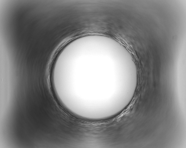 X0000096420197200801241010