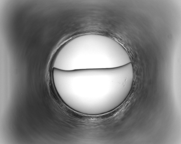 X0000096420198200801241010