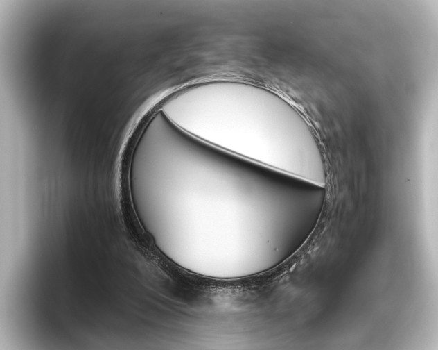 X0000096420200200801241010
