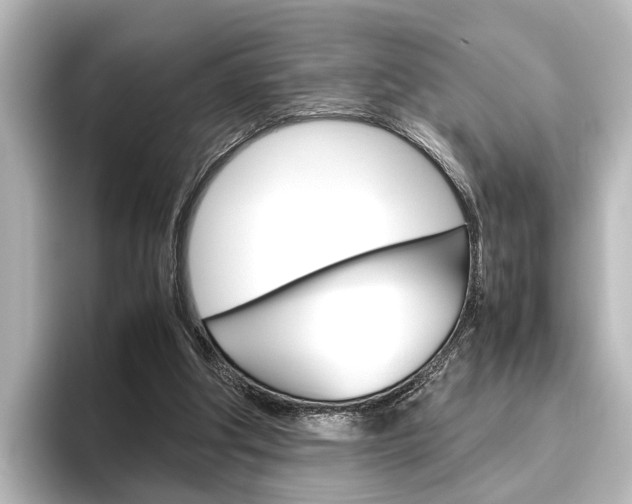 X0000096420202200801241010