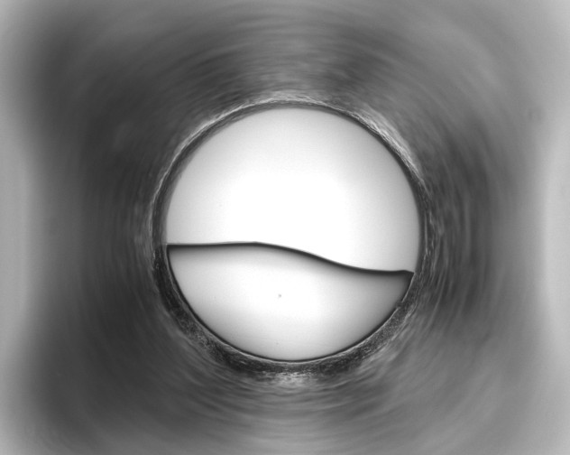 X0000096420204200801241010