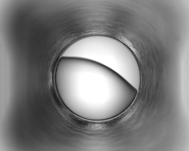 X0000096420205200801241010