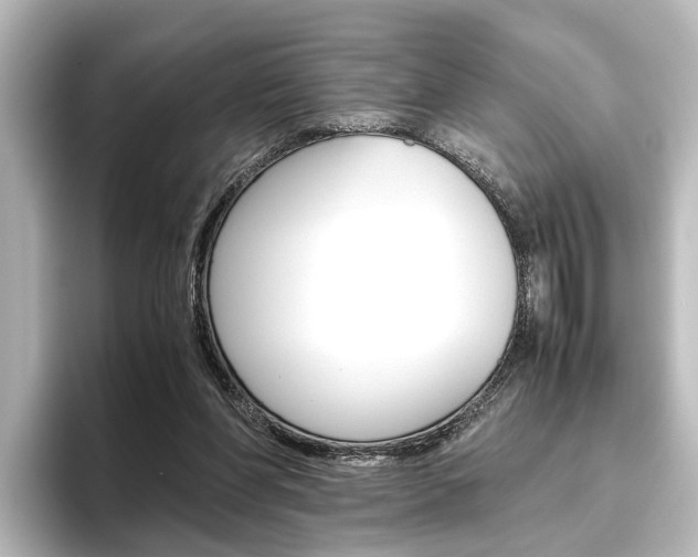 X0000096420206200801241010